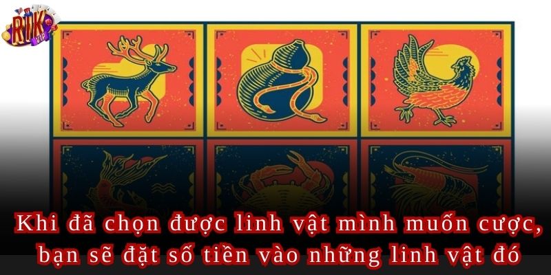 Bạn có thể cược vào một linh vật duy nhất hoặc cược nhiều linh vật