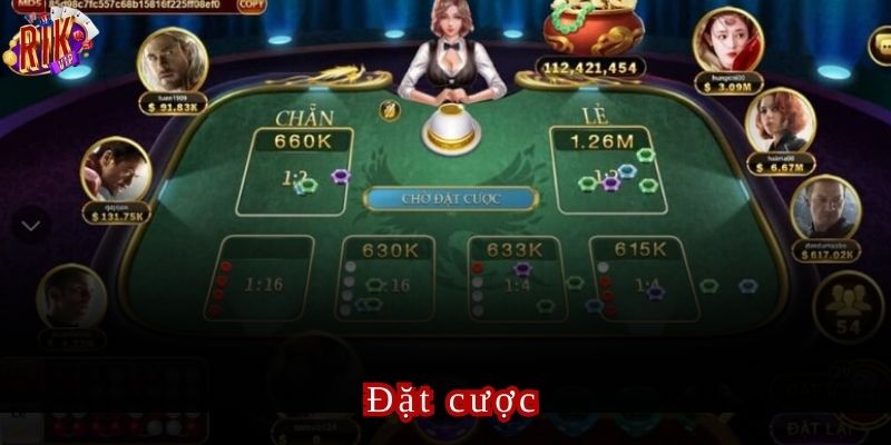 Bạn sẽ được yêu cầu đặt cược vào các cửa có sẵn