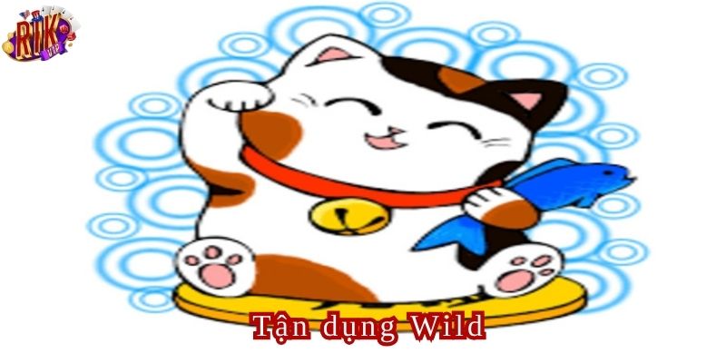Biểu tượng Wild đóng vai trò thay thế cho hầu hết các biểu tượng khác