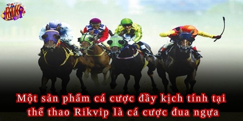 Mỗi cuộc đua ngựa là một thử thách thú vị và đầy hấp dẫn