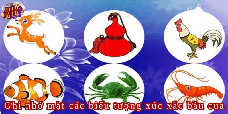 Một trong những bí quyết quan trọng là ghi nhớ các mặt của xúc xắc